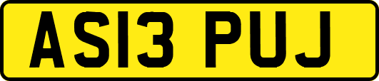AS13PUJ