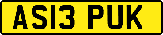 AS13PUK