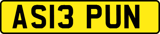 AS13PUN