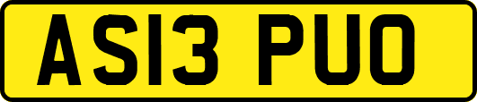 AS13PUO