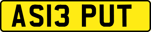 AS13PUT
