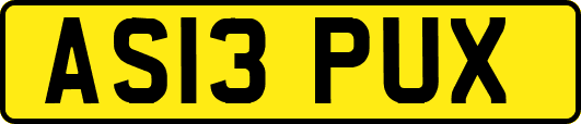AS13PUX