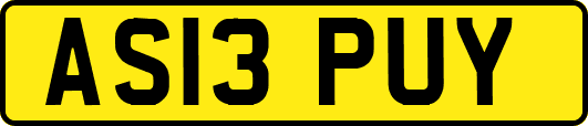 AS13PUY