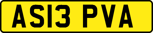 AS13PVA