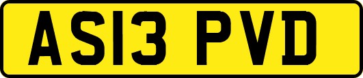 AS13PVD