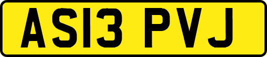 AS13PVJ