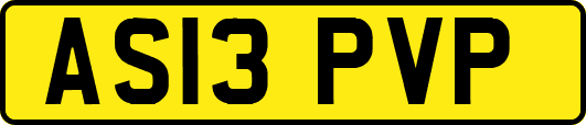 AS13PVP