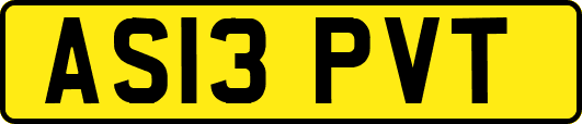 AS13PVT