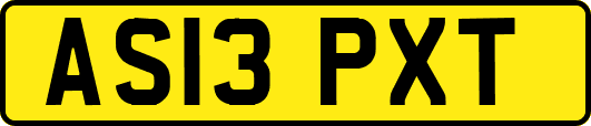 AS13PXT
