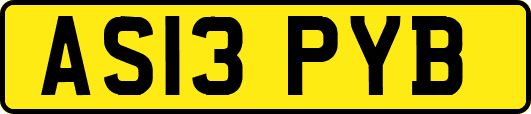 AS13PYB