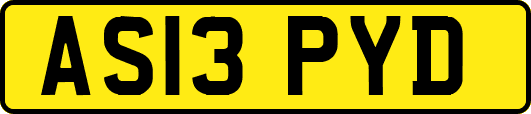 AS13PYD