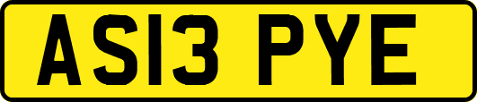 AS13PYE