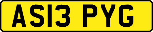 AS13PYG