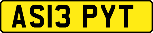 AS13PYT