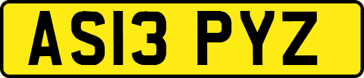 AS13PYZ