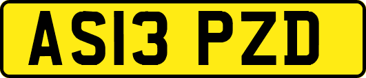AS13PZD