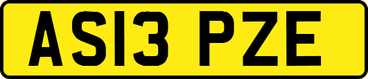 AS13PZE
