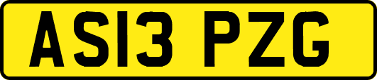 AS13PZG