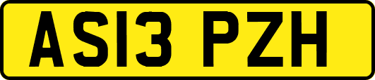 AS13PZH