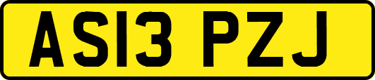 AS13PZJ