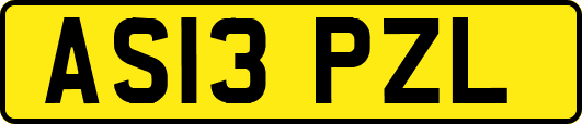 AS13PZL