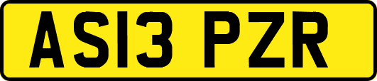 AS13PZR