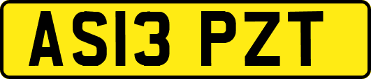 AS13PZT