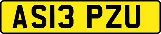 AS13PZU