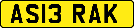 AS13RAK