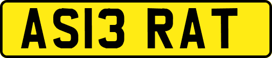 AS13RAT