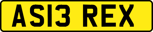 AS13REX
