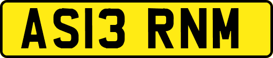 AS13RNM