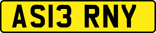 AS13RNY