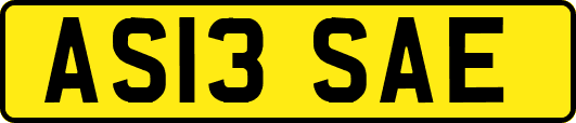 AS13SAE