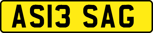 AS13SAG