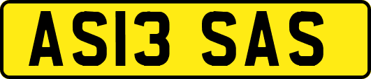 AS13SAS