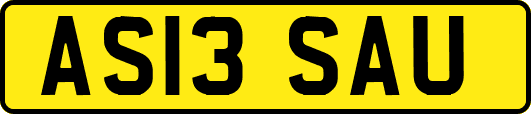AS13SAU