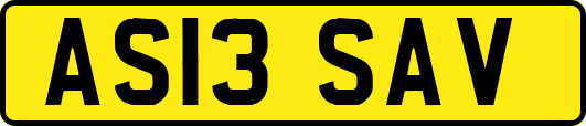 AS13SAV