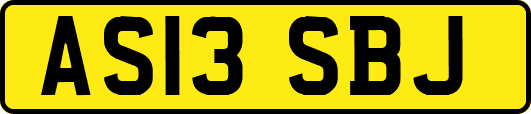 AS13SBJ