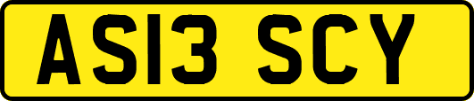 AS13SCY