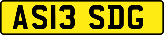 AS13SDG