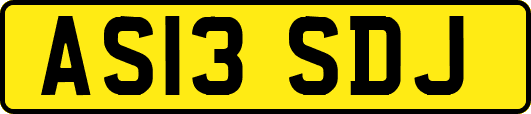 AS13SDJ