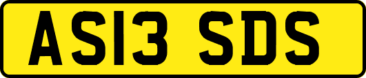 AS13SDS