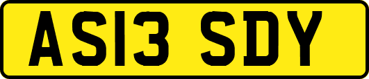 AS13SDY