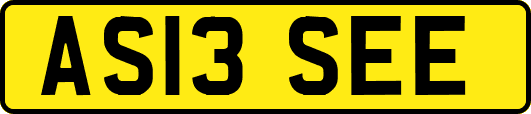 AS13SEE