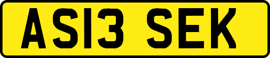AS13SEK