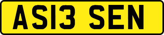 AS13SEN