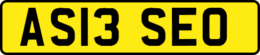 AS13SEO