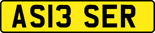 AS13SER