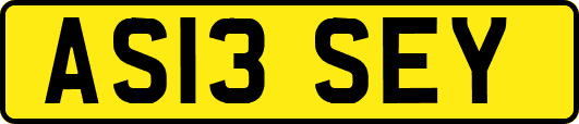 AS13SEY